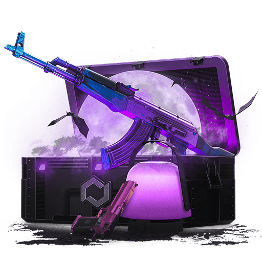 Case